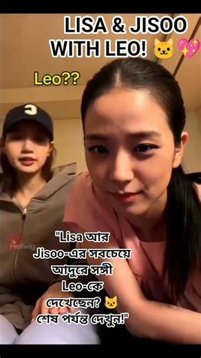 BLACKPINK Lisa, Jisoo & Their Adorable Pet Cat Leo 🐱💖 #Shorts