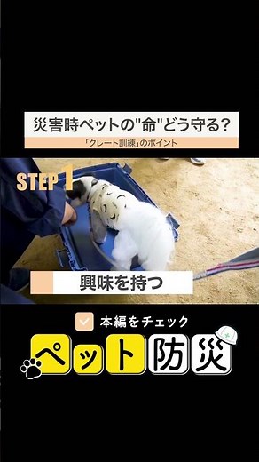 [Crate training] Disaster preparedness measures for pets - Tips for evacuating with your pets - [...