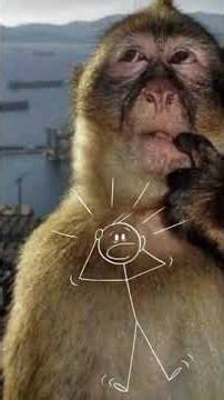 Impressive funny Short || #shorts #exercise #funny #immersive #activelifestyle #satisfying #edit