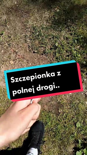 the.blue.brain.project na TikTok