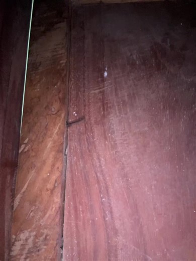 piggy_ara👧 (@piggy_arabels)’s videos with original sound - piggy_ara👧