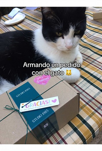 Armando un pedido especial para Jessica 🐱❤️