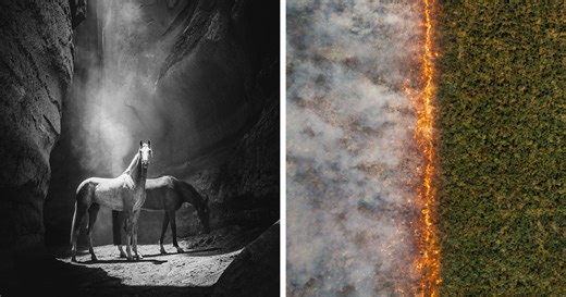 We Picked 74 Of The Best 2025 International Photography Awards Winners, And They’re Seriously Next-Level (74 Pics)