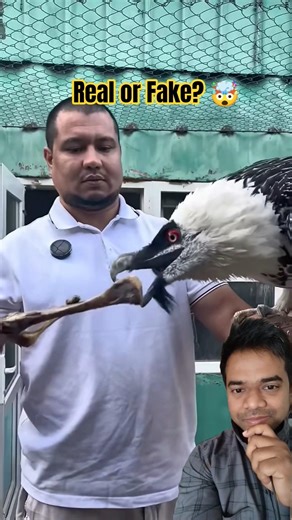 Real Bird 🐦 or AI Fake? 🤖 You Won’t Believe This! 😱