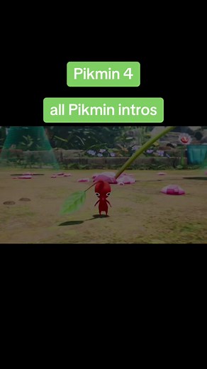 #nintendo #nintendoswitch #pikmin4 #Pikmin #pikmin2 #pikmin1 #gamecube #funny
