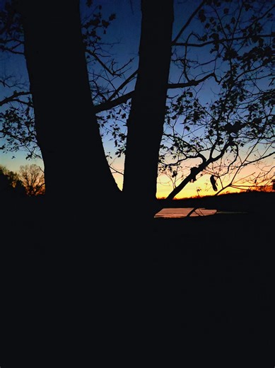 Daily Reflections: A moment of calm. Take a moment to reflect inward that peace doesn’t have to be far—it’s often right in front of us. Have you taken time to consider what truly matters to you? Daily reflections helps us slow down, reconnect with ourselves, and gain clarity in the midst of life’s motion. Let’s keep sharing the beauty around us. Wishing everyone a peaceful and thoughtful day!!! #TikTokCreatorSearchInsightsIncentive #fyp #nature #sunrise #reflection @main_street_drone