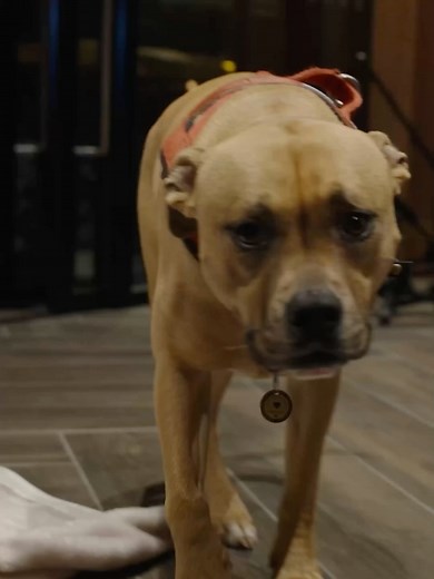 Abbey Road Studios on Reels