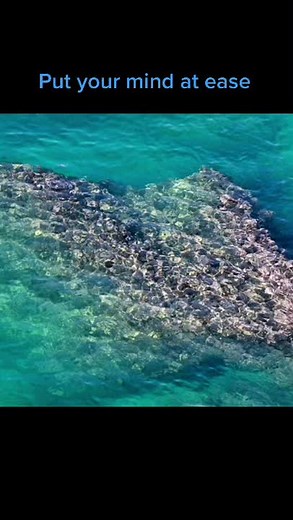 Beach Vibes on TikTok