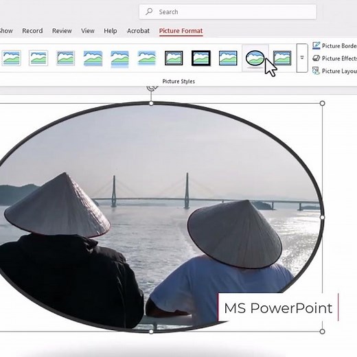 MS PowerPoint Applying Picture Styles