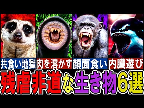 【閲覧注意】あまりに残酷すぎる生き物６選【ゆっくり解説】【動物おもしろ雑学】