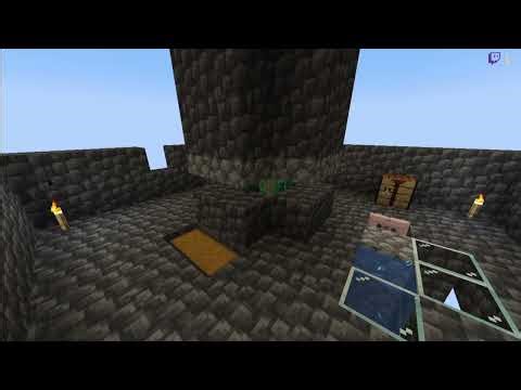 TWITCH ARCHIVES 2025-1-24 Highlight: Minecraft Vanilla - Server Tour