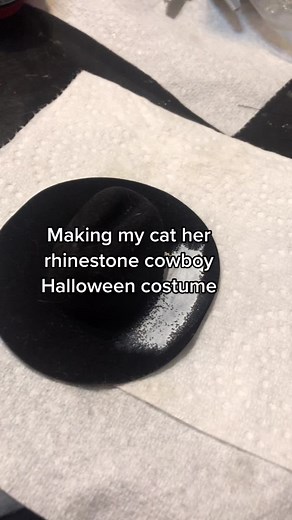 DIY Rhinestone Cowboy Cat Costume Tutorial