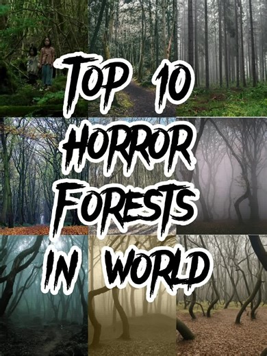 Top 10 haunted forests in world #top #haunted #forest #jungle #horror #horrortok #trend #no #1 #100million #1000likes #fyp #fypシ #viral