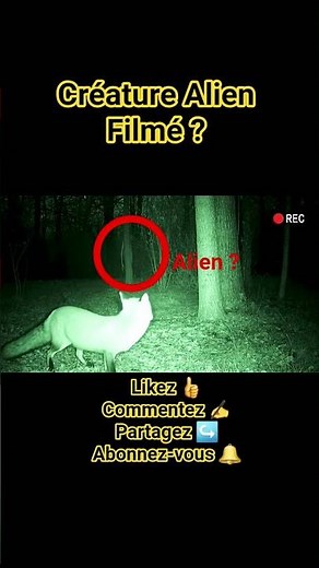 Créature Alien filmée en pleine nuit 👽😱 | Apparition inexpliquée capturée sur caméra