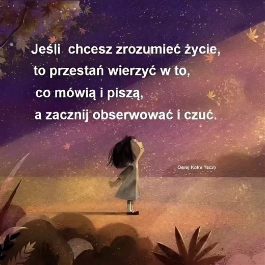Filmy użytkownika rafael_holy (@rafael_holy) z muzyką Now Let Me Hold You - aarlo austin