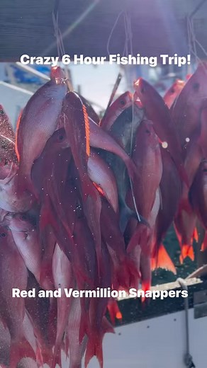Sweet Amberjack lil Bubba!! #fishing #florida #destinflorida #amberjack #catchoftheday #bassproshops #fishtok #kidsfishing Boathouse Oyster Bar DestinFloridaDeepSeaFishing.com | American Spirit Party Boat