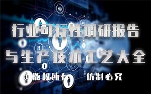 2023-2028年纳米级二氧化钛生产行业可行性调研报告与纳米级二氧化钛生产技术工艺大全