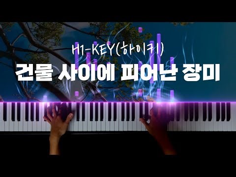 H1-KEY(하이키) - 건물 사이에 피어난 장미 피아노 커버 / H1-KEY - Rose Blossom extreme piano cover