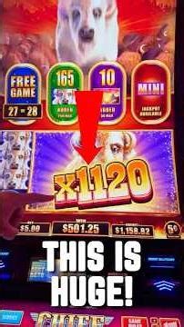 This INSANE 1182X Bonus on Buffalo Inferno is beautiful!