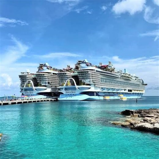 icon of the seas 2026 | If you are given a free ticket, you name some people in your family whom you want to take icon of the seas | Facebook