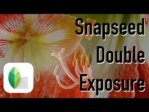 Snapseed Double Exposure | Weekly Edit #19