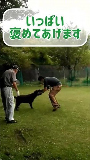 元警察犬の訓練士が教える犬のしつけ【呼び込みのトレーニング】
