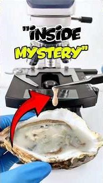 Top 5 Things That Look TERRIFYING Under a Microscope! 🔬😱