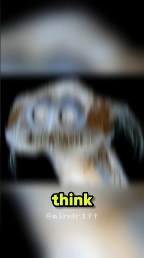 Top 5 Real Creatures That Look Like Aliens