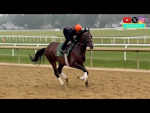 Sovereignty Trains for the 2025 Jim Dandy Stakes