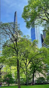 Central Park in Spring is Absolutely Unmatched 🌷 | NYC Travel Guide
