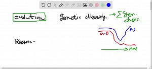 SOLVED: Why is genetic drift considered random whereas natural selection is considered nonrandom? | Numerade