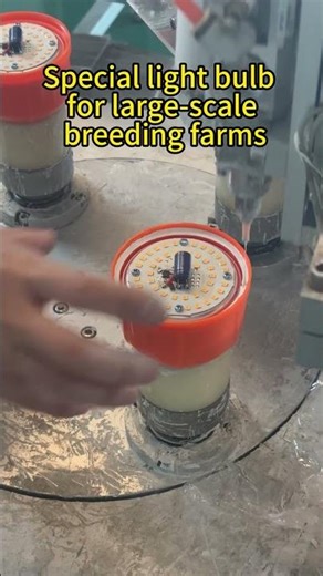 20.Special light bulb for large-scale breeding farms #factory
