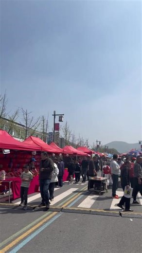 句容茅山风景区，是国家5A级旅游景区，素有“第八洞天、第一福地”美誉。山水为幕，道韵为魂，庙会为媒4月1日-6日茅山庙会连续6天，惊喜多多，福气多多，来茅山赴一场春日与祥瑞的约会让心愿在茅山如愿以偿，让福运伴你一整年！有舞龙舞狮表演 道长带领巡游祈福 非遗文化体验等 ！讨个春日好彩头为全家祈一年的顺遂安康！庙会氛围 香期祈福 春假清明来踏青 春假中小学生免费来玩#句容茅山风景区