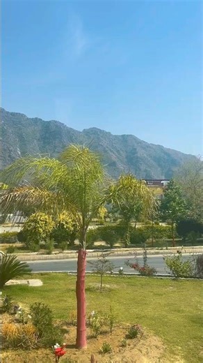 Dir-Swat💞-#naturalview#mountains#nature#swat#travel#love #rain#entertainment #forest#pakistan#trump