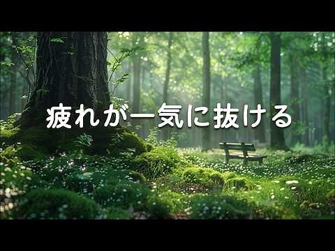 【疲れが一気に抜ける・100％広告なし】 聴くだけで心と体の疲れが静かに溶けていく音楽｜森林の癒し音楽、読書、仕事、瞑想、ヨガ、マッサー、SPA、睡眠導入
