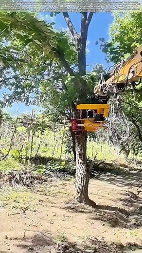 Shaking the Harvest: How Modified Excavators Gently Gather Nature's Bounty