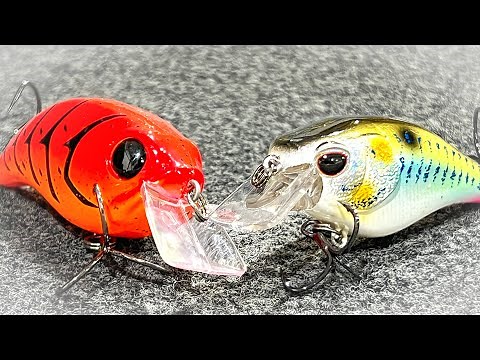 Where Do Bass Go In Spring? ( And How To Catch Them )