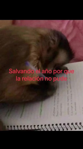 Salvando el año: Relación que no pudo