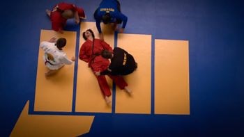 Cobra Kai S4 E9 "The Fall" - TV Tropes