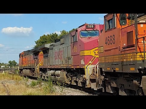Bnsf 705 trails on a grain train coming out of the port terminal yard in houston tx, 10/12/25.