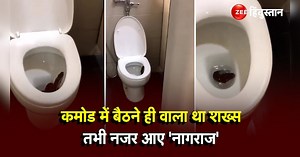 Snake In Commode: टॉयलेट सीट पर बैठा बैठा था जहरीला सांप, देखते ही हो गई हवा खराब