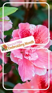 2.4K views · 16 reactions |  We’re Halfway Through Sweet Pea’s...