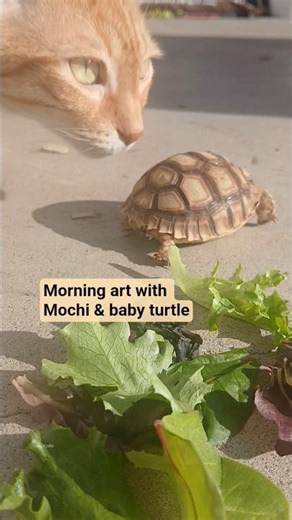 Making some frames with old wood pallets! #animalart #woodworking #artist