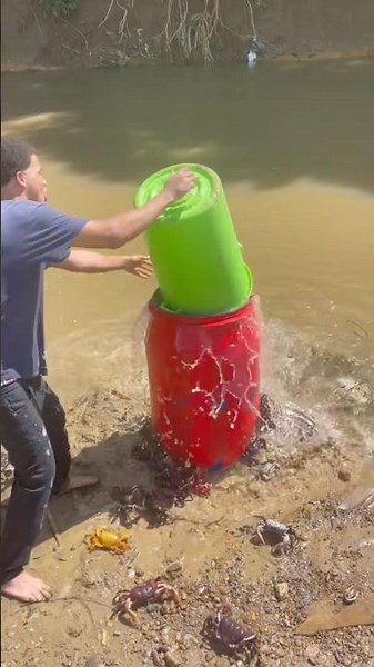 Video, messing with biting crabs, similar aggression to crab video