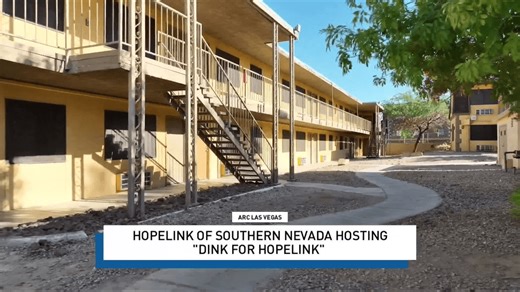 "Dink for HopeLink" Pickleball Tournament fundraiser happening in June
