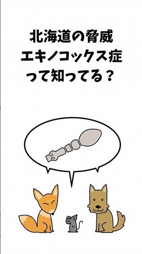 「エキノコックス症」知らなきゃ危ない寄生虫感染！#エキノコックス症#寄生虫予防#北海道#感染症対策