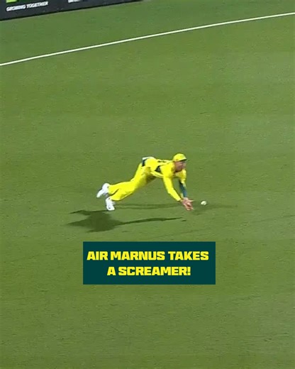 Marnus Labuschagne, that's an EXCELLENT catch! #AUSvSA | Australian Men's Cricket Team