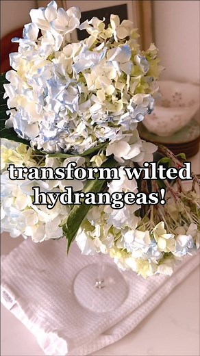 Revive Wilted Hydrangeas in 2 Simple Steps! 🌸🤯