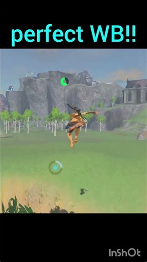 perfect WB!! #zelda #botw #speedrun #glitchmoments