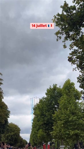 La patrouille de France a survolé Paris en ce 14 juillet 2025 et a ouvert la parade militaire. | Les Pépites de France